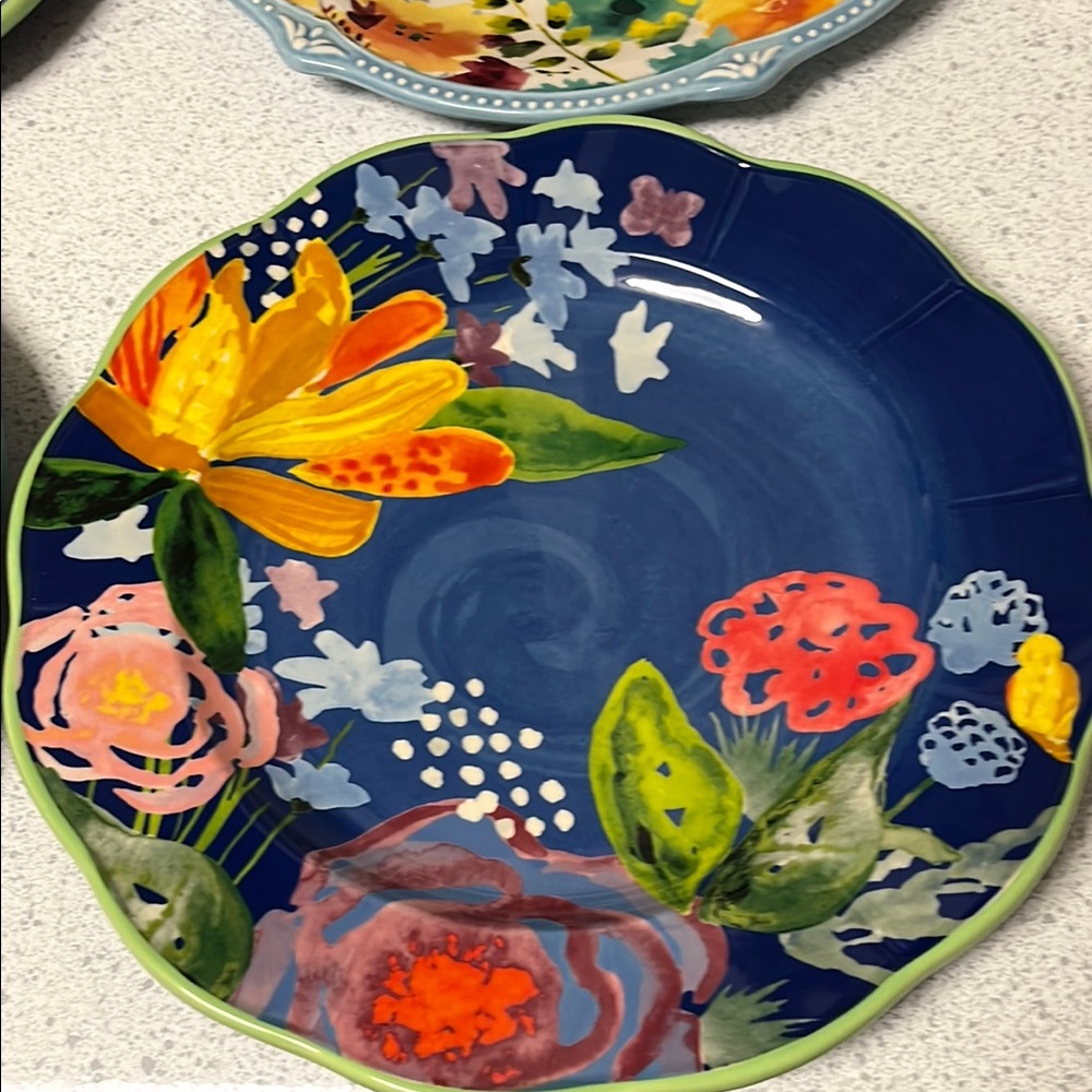 The Pioneer Woman Blue and Green Dinnerware Set - Picture 5 of 8